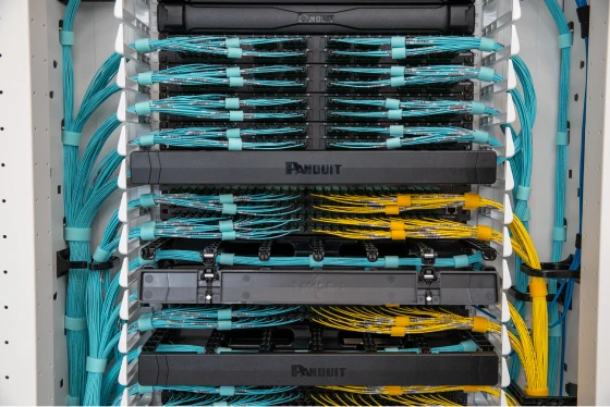 Οργάνωση καλωδίων και συνδέσεων Panduit σε rack.