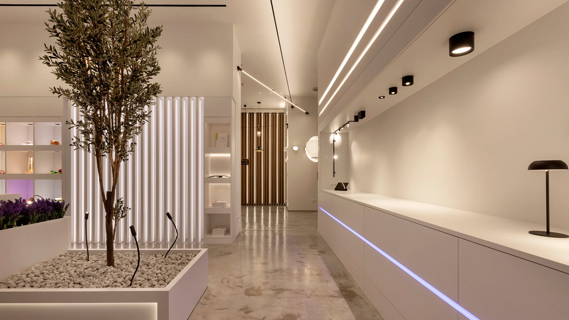 Ευρεία άποψη του showroom του KAFKAS HUB.
